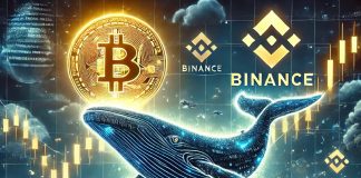 Huge Whale Exercise Detected on Binance as Bitcoin Exams New Highs