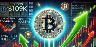 Bitcoin Holds Above $109Ok as Lengthy-Time period Holders Accumulate Amid Liquidations