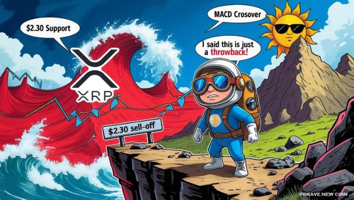 XRP Value Prediction: XRP on the Verge of a Large Surge as Pennant Sample Defies $37M Promote-Off