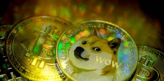 Dogecoin Value Types Inverse Head And Shoulders Sample To Counsel Fast Reversal To $0.25