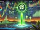 Solana Flashes Purchase Sign – $159 Assist Key For Rebound Solana Flashes Purchase Sign – $159 Assist Key For Rebound