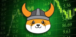 Floki Worth Prediction: Market Stability and Ecosystem Enlargement Assist Gradual Worth Upside