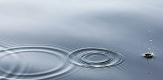 XRP Might Rework Your Funds Lengthy Earlier than $10Okay, Angel Investor Says