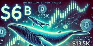$63 Billion in Bitcoin Scooped Up by New Whales, Is $135Ok Nonetheless in Play?
