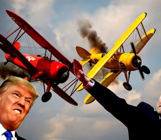 Trump vs. Musk: Explosive Feud Sends Bitcoin and Tesla Right into a Tailspin