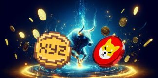 SHIB Breakdown vs. XYZ Rally: The Meme Coin Race to 2025 Dominance Heats Up