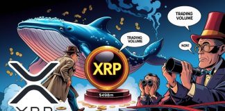 XRP Information Right this moment: Bullish Reversal, Plunging Quantity, and $498M Whale Switch — The place Is XRP Headed Subsequent?