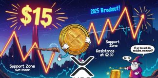 XRP Value Prediction: High Crypto Analyst Initiatives $15 XRP by 2025 and $26.50 by 2030