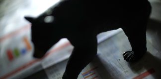 Bitcoin Leveraged Merchants Are Again Betting On A Worth Decline — What This Means Bitcoin Leveraged Merchants Are Again Betting On A Worth Decline — What This Means