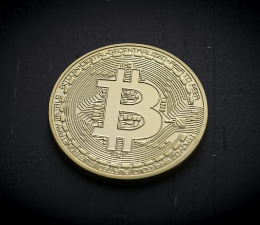 Ignore The Trump–Musk Noise: Bitcoin’s Spine Stays Stable