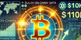 On-Chain Information Flashes Bullish: Is Bitcoin Prepared for a $110Ok Comeback?