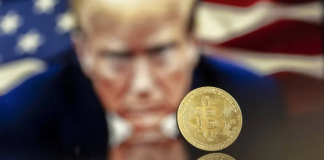 Billionaire Snaps Up $100 Million Of Trump Coin – Particulars