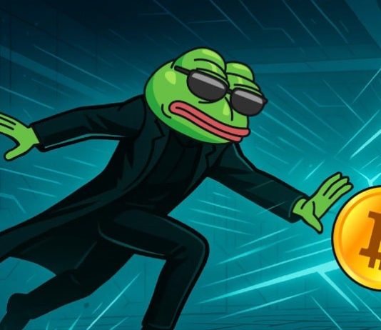 Bitcoin Worth Cooling in Q3? ETH & Neo Pepe Coin Presale Warmth Up With 1.1 Million Raised