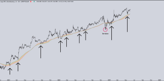 Bitcoin’s Dominance May Kill Altseason Desires, Analyst Warns
