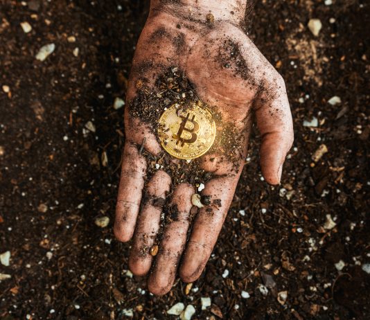 Bitcoin Energetic Addresses At 2020 Stage — What’s Occurring?