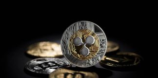 Analyst Places XRP Cycle Excessive At $20-$30, Right here’s Why