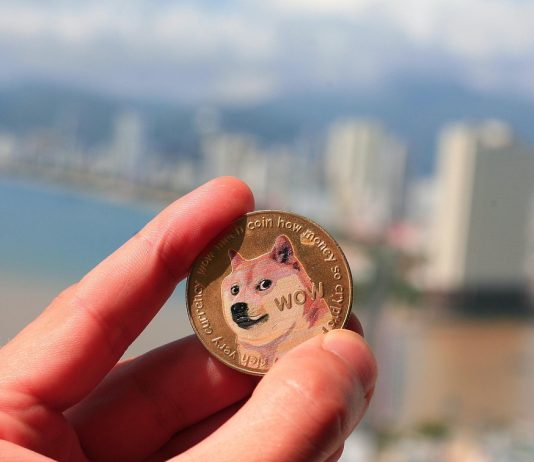 Dogecoin Worth Closes Every day Candle With A Doji, What This Means Dogecoin Worth Closes Every day Candle With A Doji, What This Means