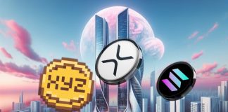 XRP Adoption Surges After XRPL 2.5.Zero Improve Whereas XYZVerse Faucets Sports activities Fandom to Increase $14M