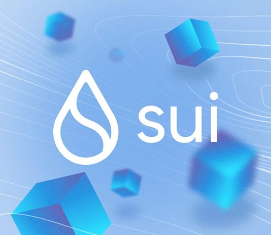 Sui (SUI) Eyes Breakout With Bullish Twin Sample: Is A Rally To $27 On?