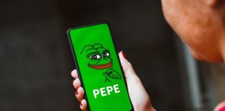 Elon Musk Couldn’t Save PEPE, However This New Coin Is Rising With out Him