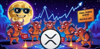 XRP Worth Prediction: XRP Set for Last 2025 Surge as Bullish Sentiment and Moon Cycle Align