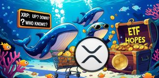 XRP Information Right this moment: XRP Whales Stir Market as Accumulation and Dumping Spark Volatility XRP Information Right this moment: XRP Whales Stir Market as Accumulation and Dumping Spark Volatility