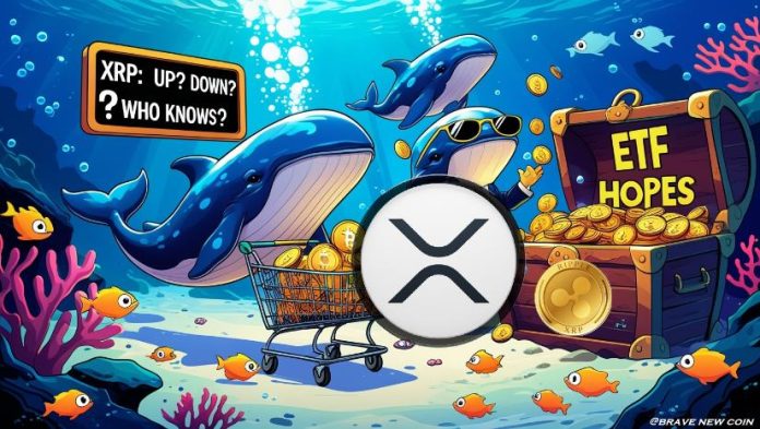 XRP Information Right this moment: XRP Whales Stir Market as Accumulation and Dumping Spark Volatility