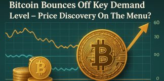 Bitcoin Bounces Off Key Demand Degree – Value Discovery On The Menu?