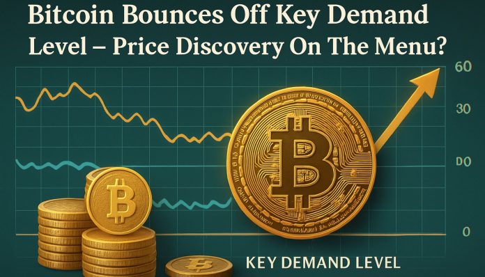 Bitcoin Bounces Off Key Demand Degree – Value Discovery On The Menu?