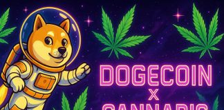 Dogecoin Money Goes Full Doge: Inside a Wall Road Stoner Pivot