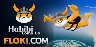 Floki Worth Prediction: FLOKI Surges 9.25 P.c as Bullish Reversal Begins
