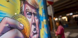 Crypto Traders Overwhelmingly Again Trump’s Crypto Insurance policies as High Altcoins Might Surge