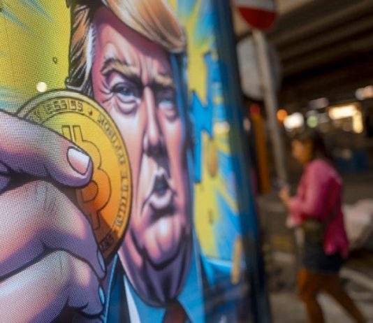 Crypto Traders Overwhelmingly Again Trump’s Crypto Insurance policies as High Altcoins Might Surge