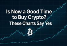 Is Now a Good Time to Purchase Crypto? These Charts Say Sure
