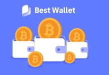 Whale Pockets Breach? The $8.6B Bitcoin Thriller and the Case for Finest Pockets