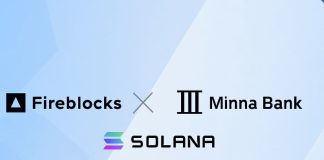 Solana & Minna Financial institution Discover Stablecoins as Greatest Pockets Token Good points Traction