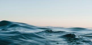 Sei Community Unlocks Japan Market After Hitting $626M In TVL