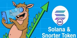 Solana Rallies on $300M Treasury Plans — May Snorter Token Be Subsequent to Profit?