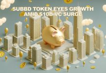5 Crypto Companies Drove $10B VC Surge in Q2 – SUBBD Token Eyes Progress Amid Institutional Rally