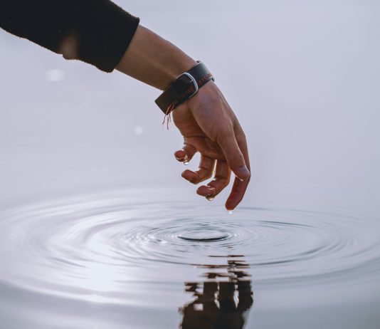 Don’t Maintain Again—Professional Recommends Full Stake In XRP
