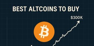 Analyst Predicts Bitcoin Will Attain $300Ok by 12 months-Finish – Finest Altcoins to Purchase Now