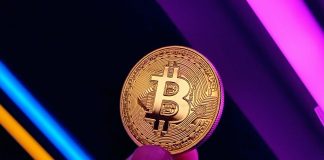 Bitcoin Stalls After Rally: Will It Blast By way of $125,000 Or Slip Again To $110Ok?