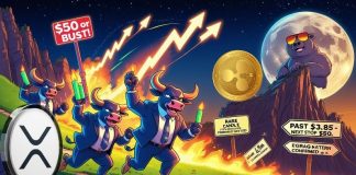 Ripple Worth Information: XRP Bulls Goal $50 in Lengthy-Time period Rally Backed by Uncommon Candle Formation