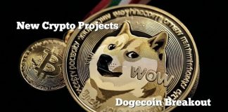 New Crypto Initiatives Rise After Dogecoin’s Bullish Breakout