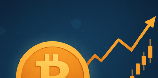 The Bitcoin Liquidity Supercycle Has Simply Begun, Says Hedge Fund CEO