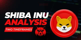 Shiba (SHIB) Worth Prediction for July & August 2025: Can Shiba Inu Double?