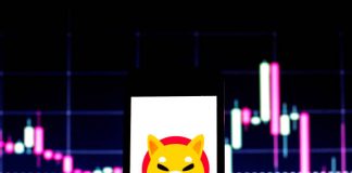 Shiba Inu Alternate Reserves Hit Lowest Degree Since 2023 — Why A Value Surge Might Comply with