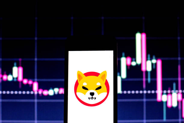 Shiba Inu Alternate Reserves Hit Lowest Degree Since 2023 — Why A Value Surge Might Comply with Shiba Inu Alternate Reserves Hit Lowest Degree Since 2023 — Why A Value Surge Might Comply with