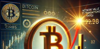 Bitcoin Climbs, However NVT Indicator Sends a Shocking Sign
