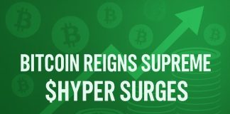 Bitcoin Reigns Supreme: Satoshi Surpasses Gates, $500M Treasury Wager Soars – $HYPER Poised for Lengthy-Time period Positive factors